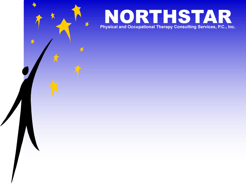 NORTHSTAR Background Logo